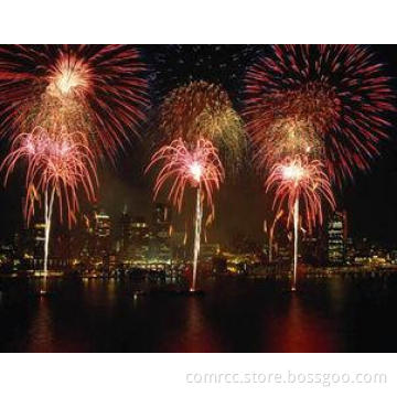 Celebration outdoor Commercial Fireworks for corporate even